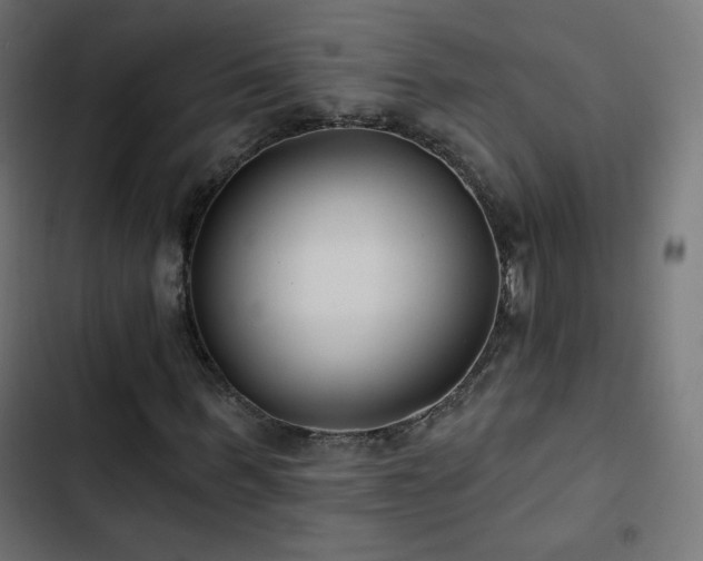 X0000103490963200809121711