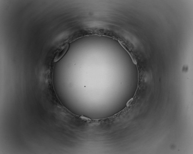 X0000103490965200809121711