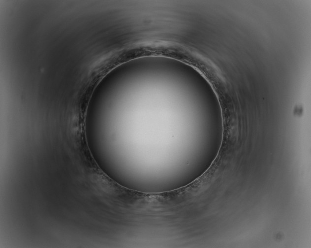 X0000103490966200809121711