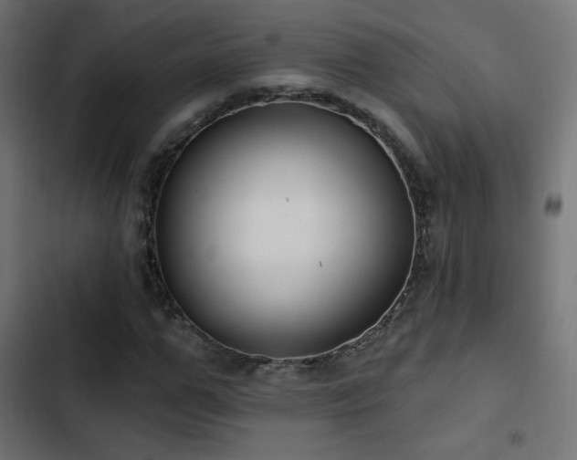 X0000103490967200809121711