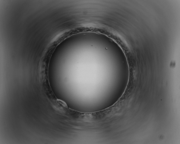 X0000103490968200809121711