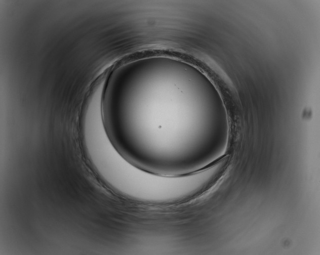 X0000103490969200809121711