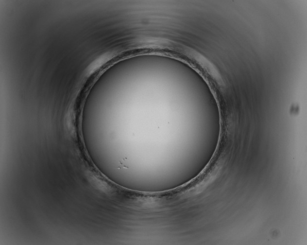 X0000103490970200809121711