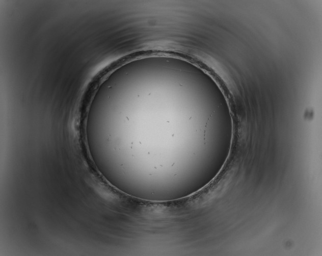 X0000103490971200809121711