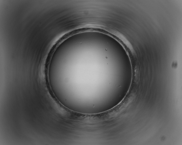 X0000103490972200809121711