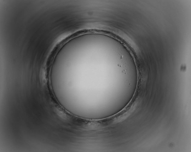 X0000103490974200809121711