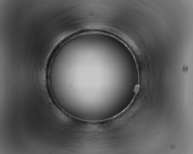 X0000103490976200809121711