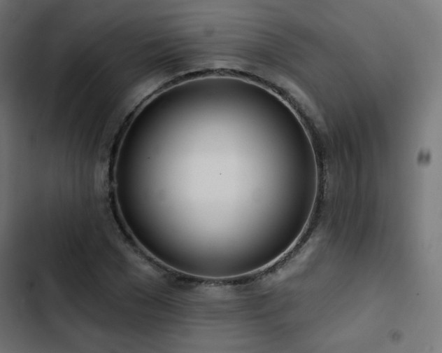 X0000103490977200809121711