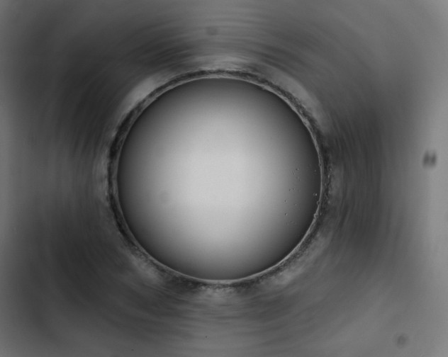 X0000103490978200809121711