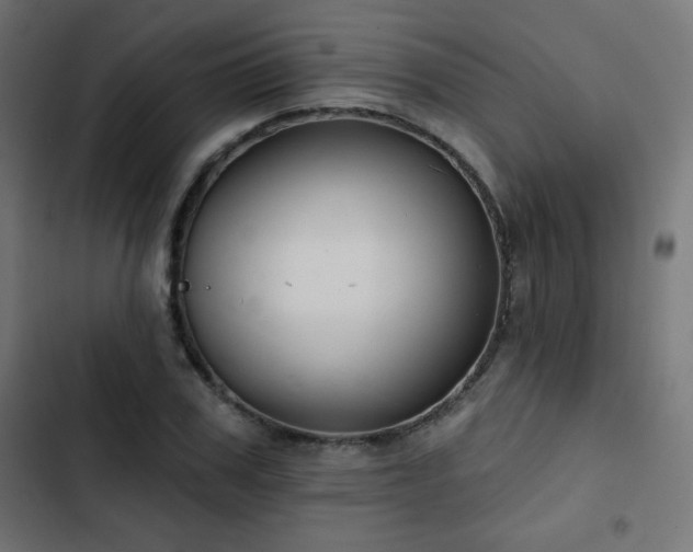 X0000103490979200809121711