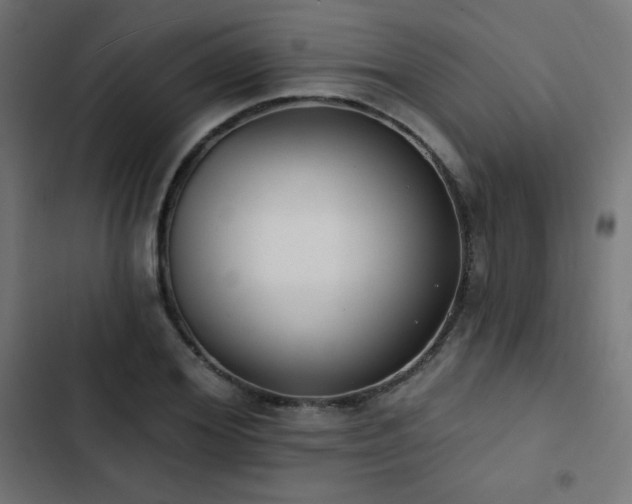 X0000103490980200809121711