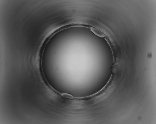 X0000103490981200809121711