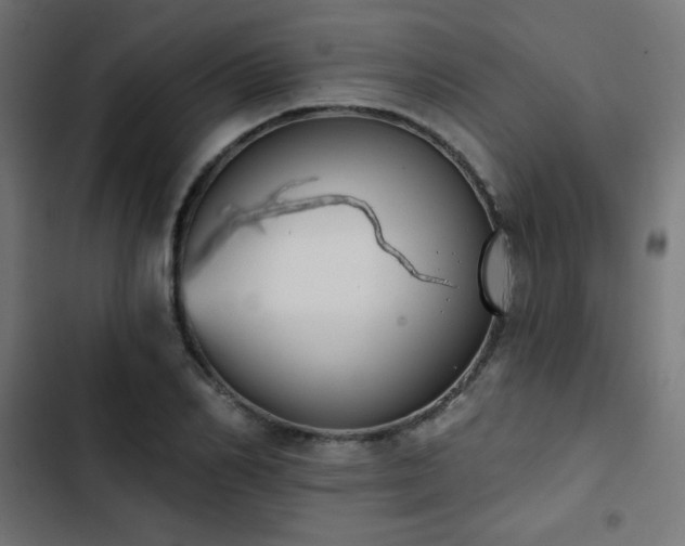 X0000103490982200809121711