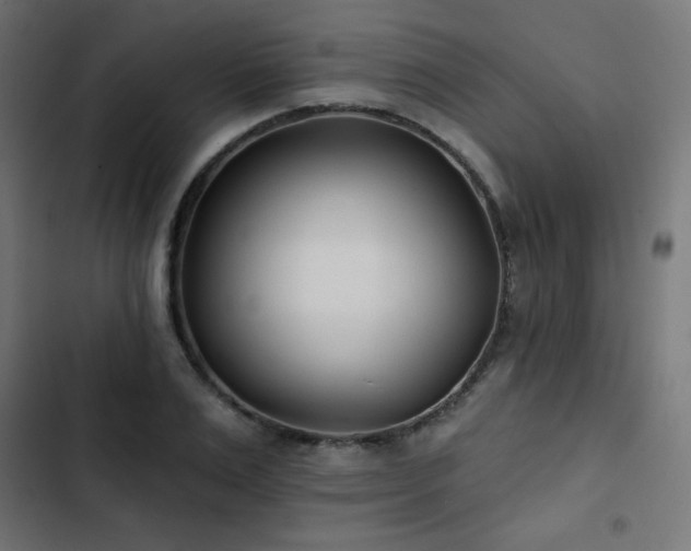 X0000103490983200809121711