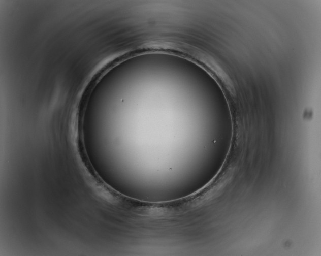 X0000103490984200809121711