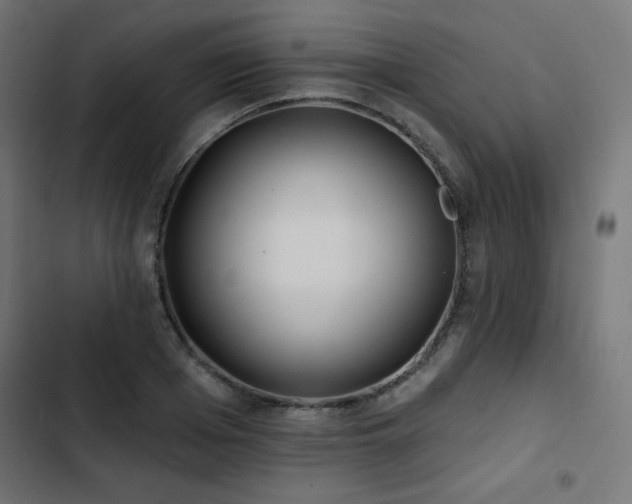 X0000103490985200809121711