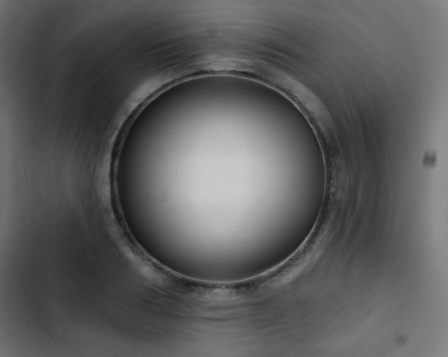 X0000103490986200809121711