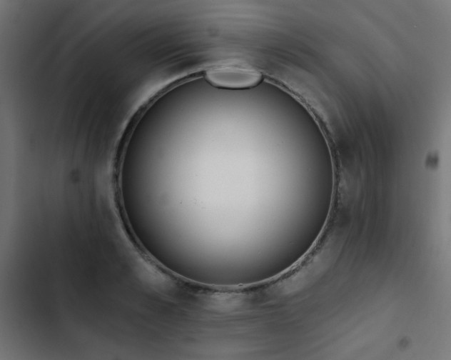 X0000103490989200809121710