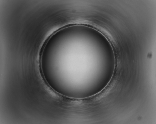 X0000103490990200809121710