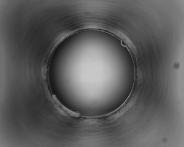 X0000103490993200809121710