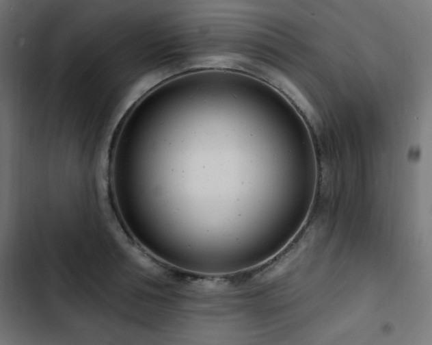 X0000103490994200809121710