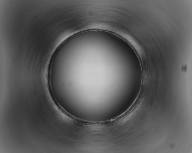 X0000103490999200809121710