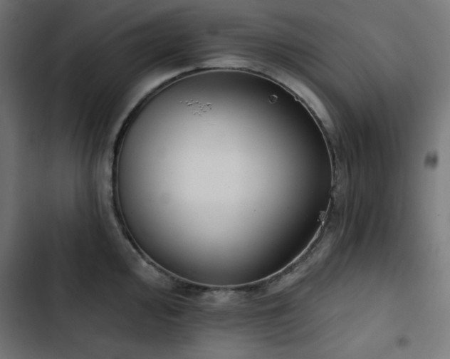 X0000103491000200809121710