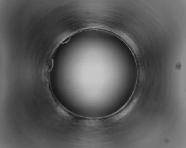 X0000103491001200809121710