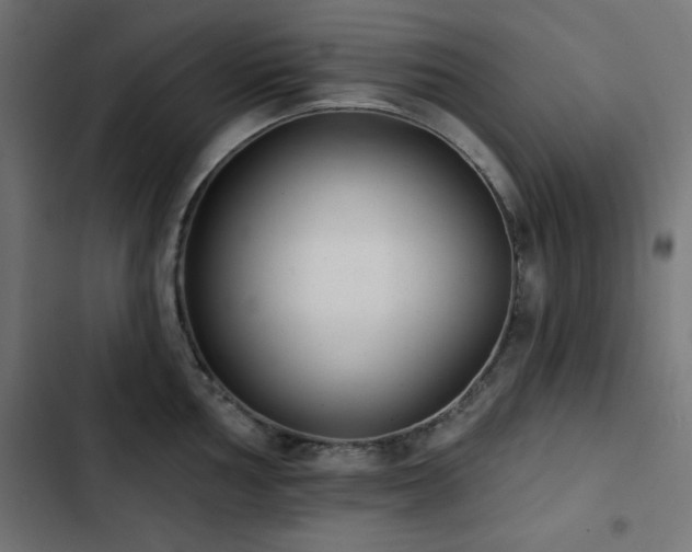 X0000103491002200809121710