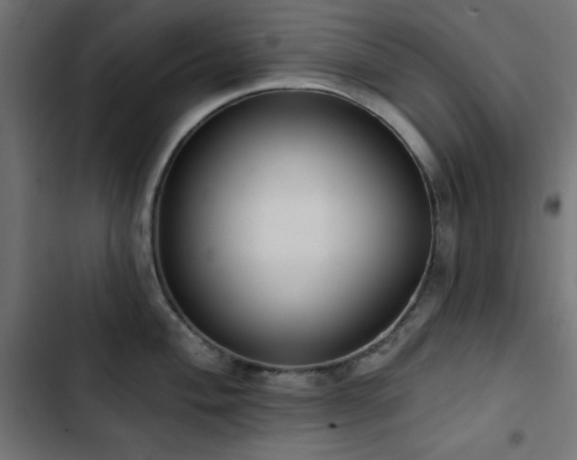 X0000103491004200809121710