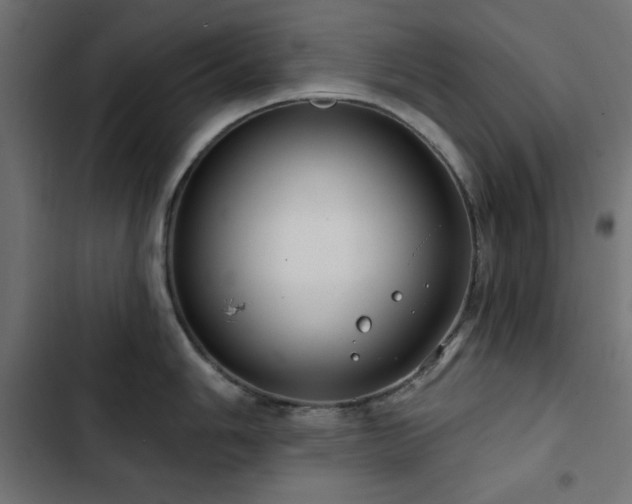 X0000103491006200809121710