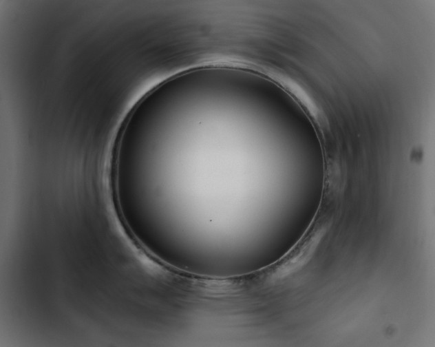 X0000103491007200809121710