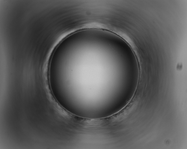 X0000103491008200809121710