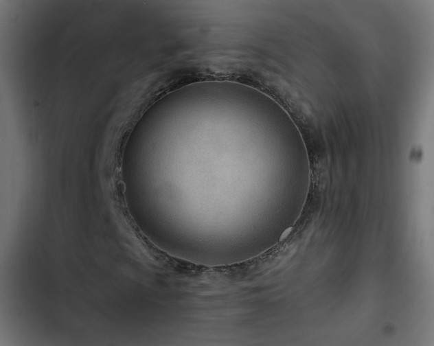 X0000103491009200809121709