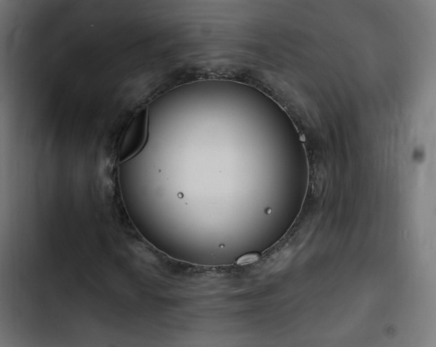 X0000103491010200809121709