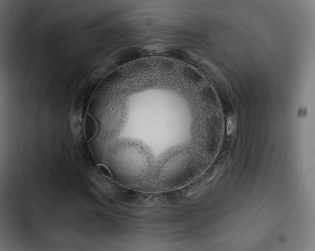 X0000103491011200809121709