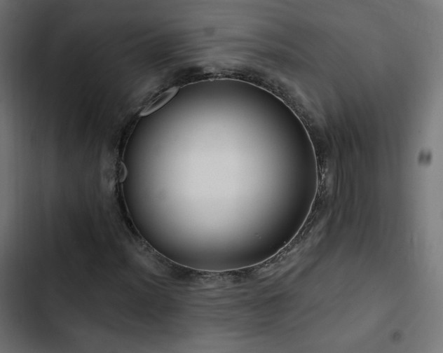 X0000103491012200809121709