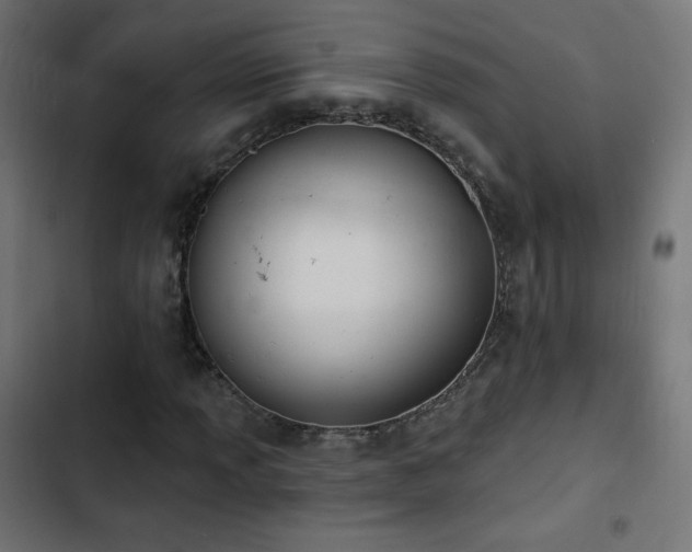 X0000103491013200809121709