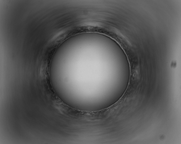 X0000103491014200809121709