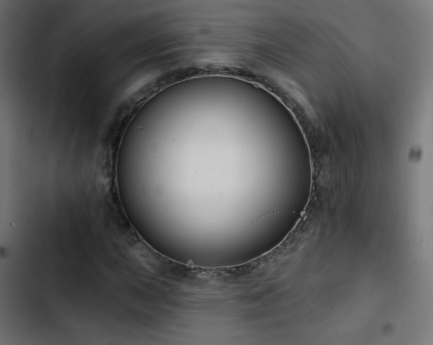 X0000103491015200809121709