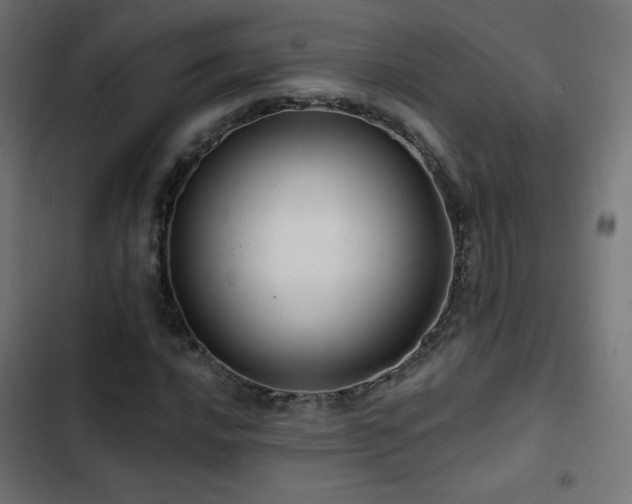 X0000103491016200809121709