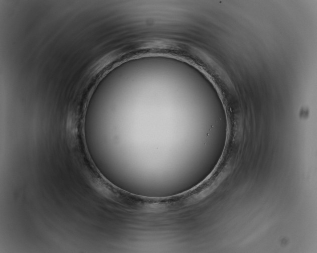 X0000103491017200809121709