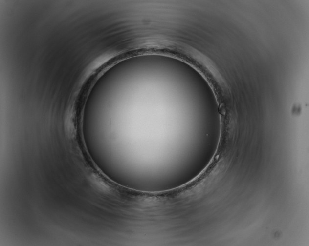 X0000103491018200809121709