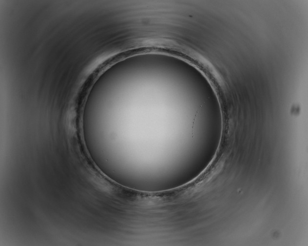 X0000103491019200809121710