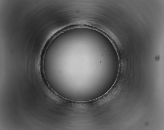 X0000103491020200809121710