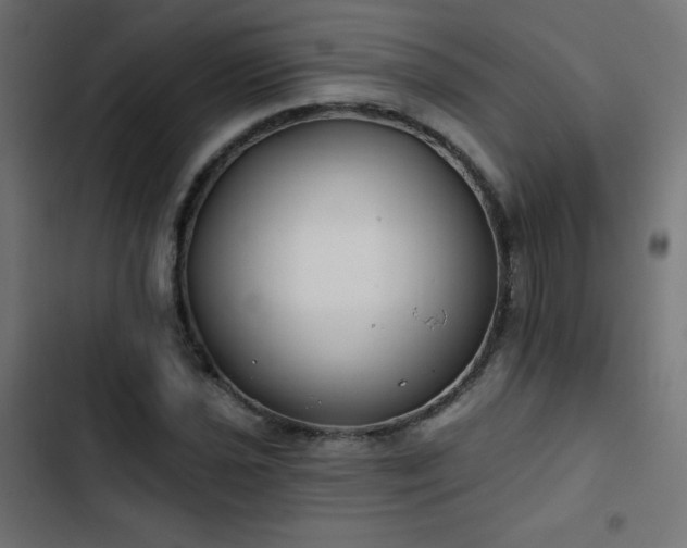 X0000103491021200809121710