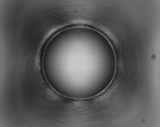 X0000103491022200809121710