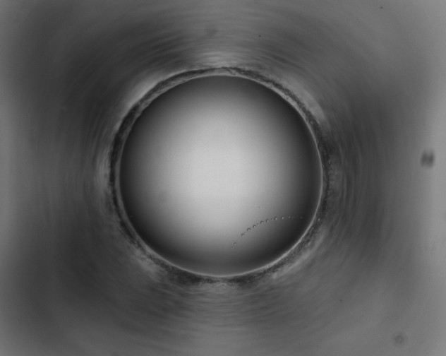 X0000103491023200809121710