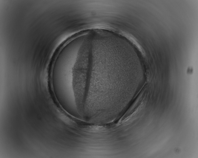 X0000103491024200809121710