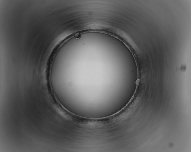 X0000103491026200809121710